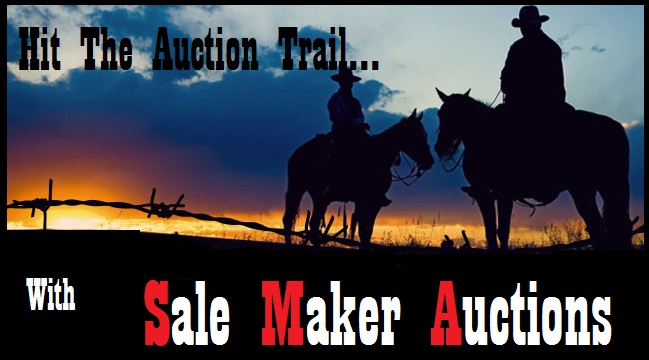 Sale Maker Auction Trail
