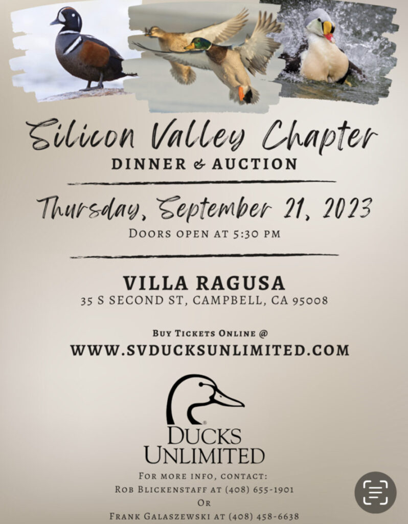📢 PUBLIC EVENT - 🦆Ducks Unlimited - Silicon Valley Chapter Dinner & Auction - Join In on The Fun!  Auctions, Raffles, Games and Guns at Villa Ragusa in Campbell @ 35 S. 2nd Street, Campbell, CA 95008 408.712.8019